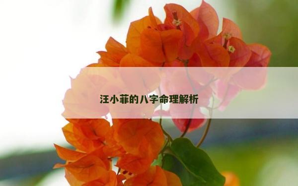 汪小菲的八字命理解析