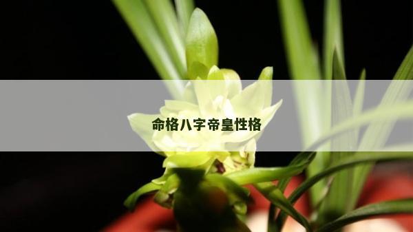 命格八字帝皇性格