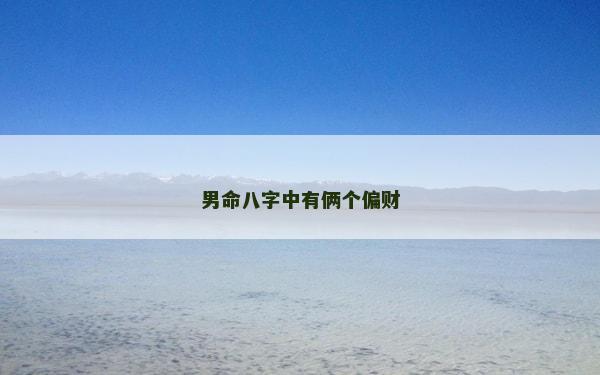 男命八字中有俩个偏财