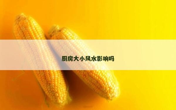 厨房大小风水影响吗