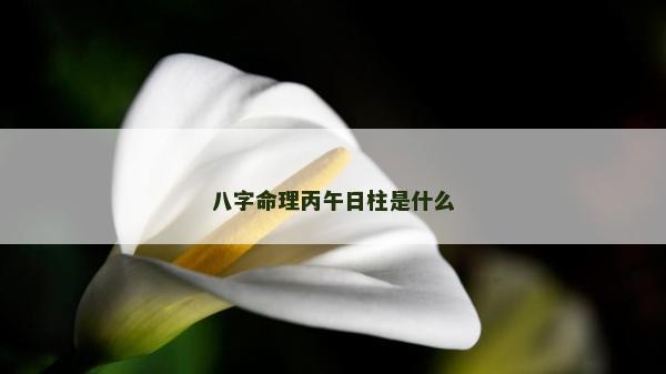 八字命理丙午日柱是什么
