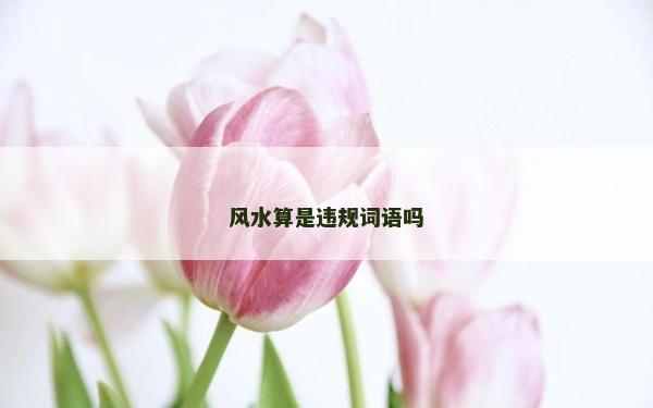 风水算是违规词语吗
