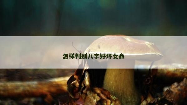 怎样判别八字好坏女命