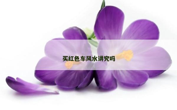 买红色车风水讲究吗