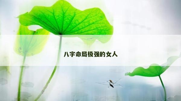八字命局极强的女人