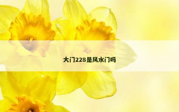 大门228是风水门吗