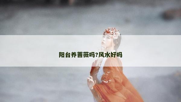阳台养蔷薇吗?风水好吗