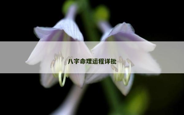 八字命理运程详批