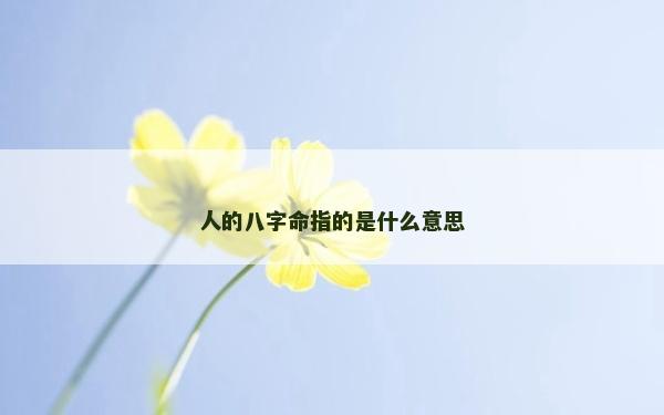 人的八字命指的是什么意思