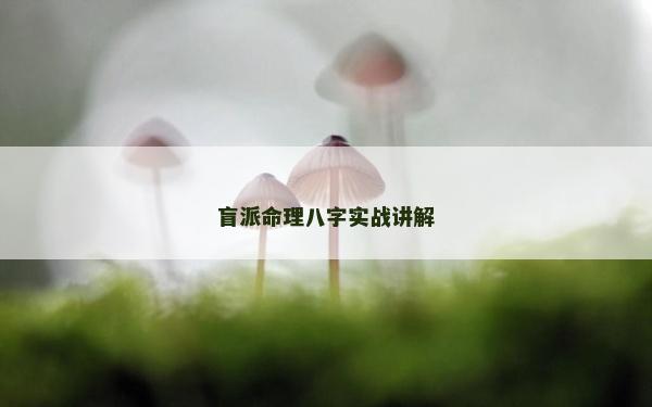 盲派命理八字实战讲解