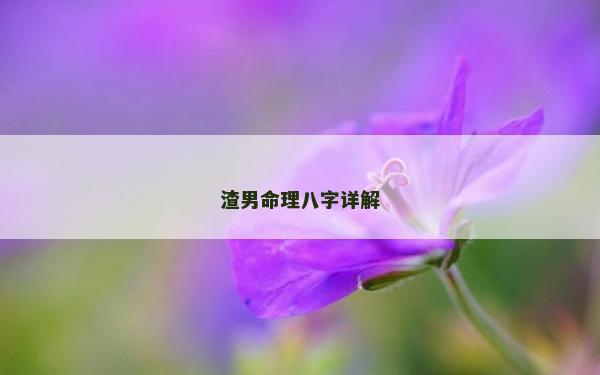 渣男命理八字详解