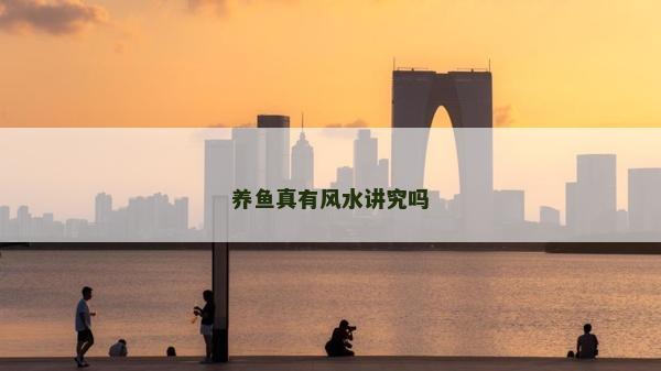 养鱼真有风水讲究吗