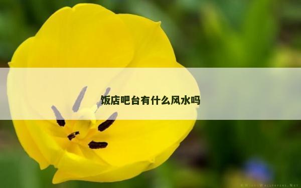 饭店吧台有什么风水吗