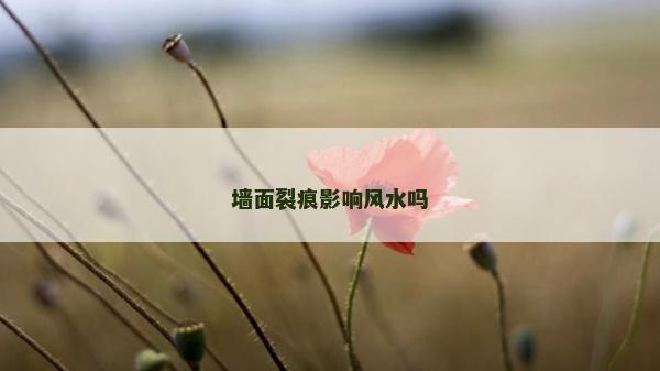 墙面裂痕影响风水吗