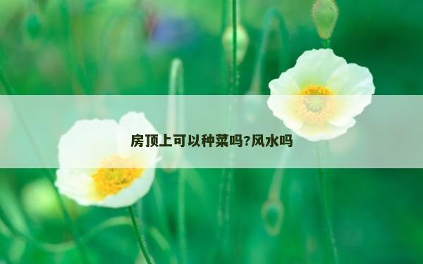 房顶上可以种菜吗?风水吗