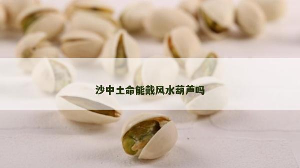 沙中土命能戴风水葫芦吗