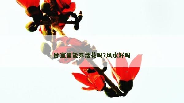 卧室里能养活花吗?风水好吗
