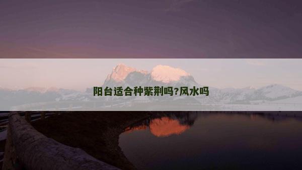阳台适合种紫荆吗?风水吗