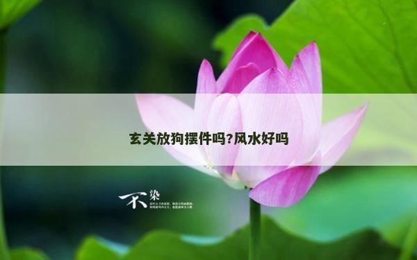 玄关放狗摆件吗?风水好吗