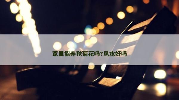 家里能养秋菊花吗?风水好吗