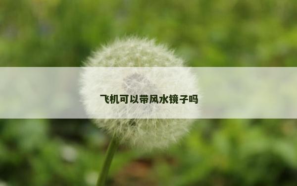 飞机可以带风水镜子吗