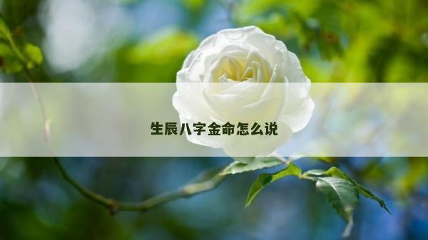 生辰八字金命怎么说