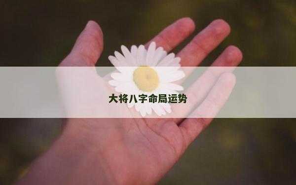 大将八字命局运势
