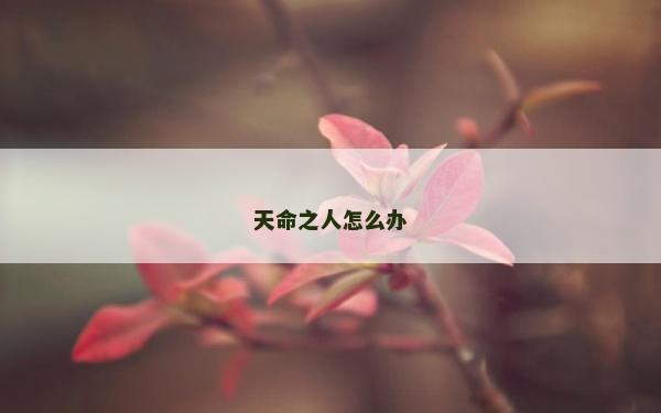 天命之人怎么办