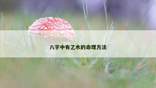 八字中有乙木的命理方法