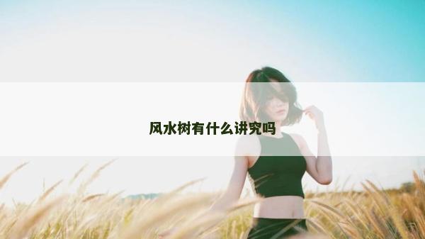 风水树有什么讲究吗