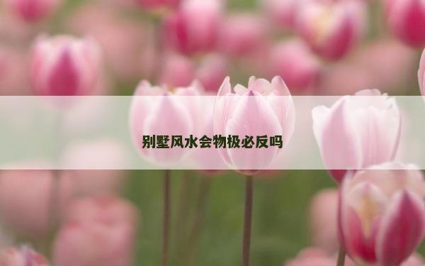 别墅风水会物极必反吗