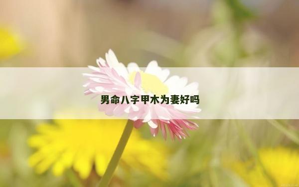 男命八字甲木为妻好吗