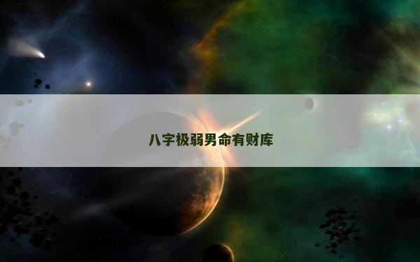 八字极弱男命有财库