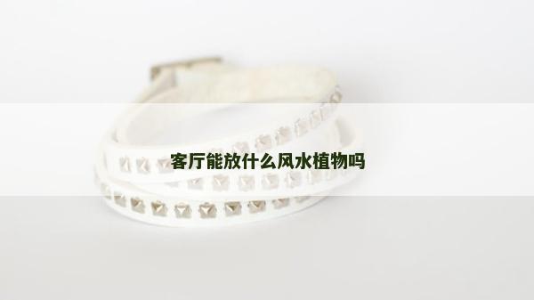 客厅能放什么风水植物吗