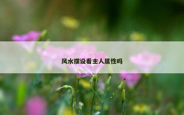 风水摆设看主人属性吗
