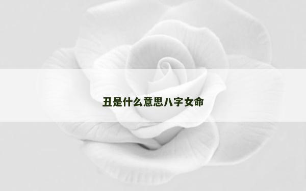 丑是什么意思八字女命