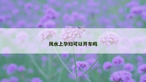 风水上孕妇可以开车吗