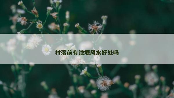村落前有池塘风水好处吗