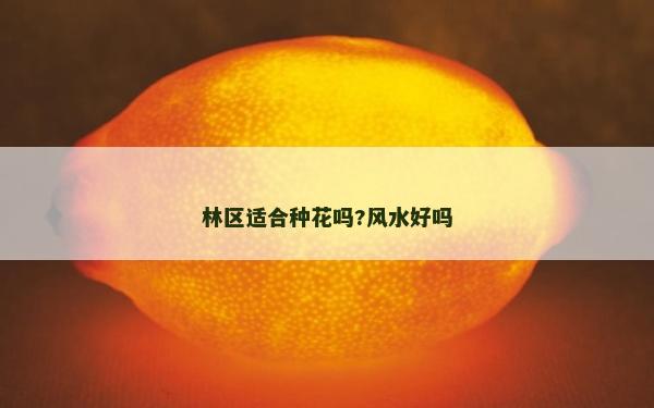 林区适合种花吗?风水好吗