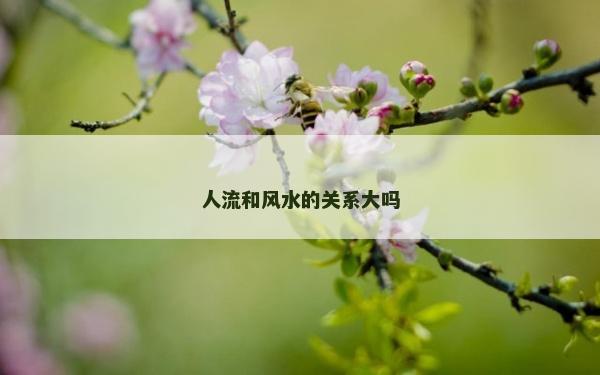 人流和风水的关系大吗