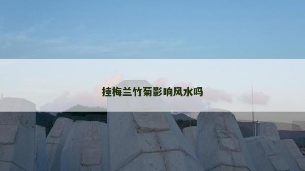 挂梅兰竹菊影响风水吗