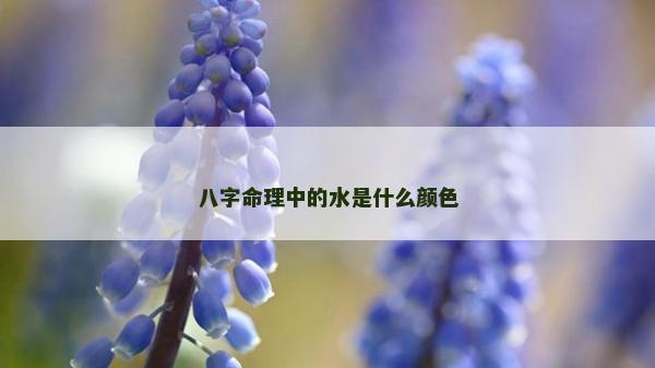 八字命理中的水是什么颜色