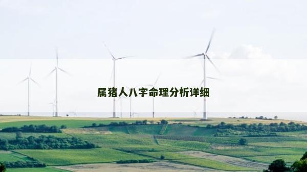 属猪人八字命理分析详细