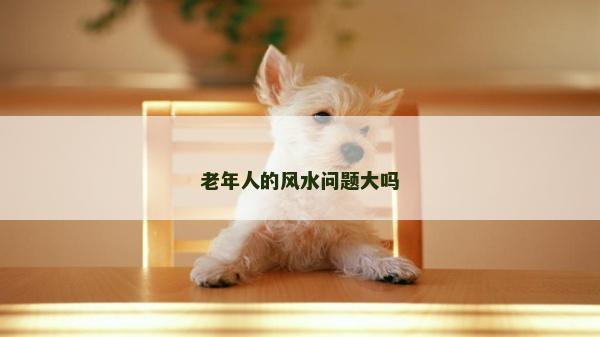 老年人的风水问题大吗