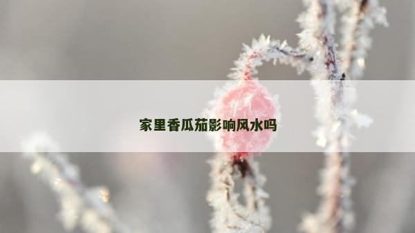 家里香瓜茄影响风水吗