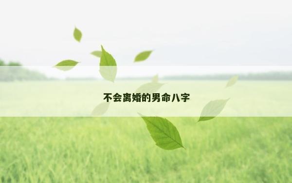 不会离婚的男命八字