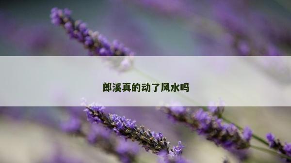 郎溪真的动了风水吗