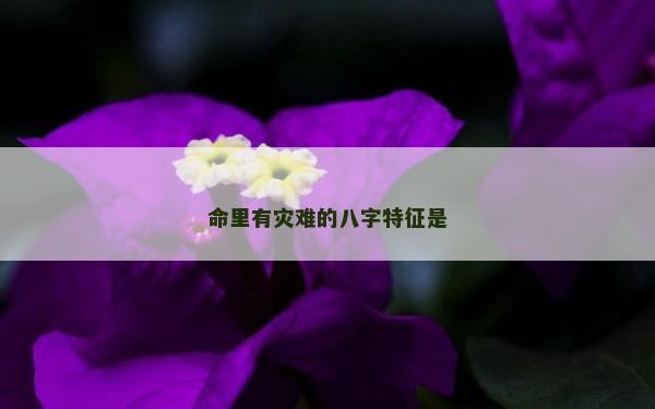 命里有灾难的八字特征是