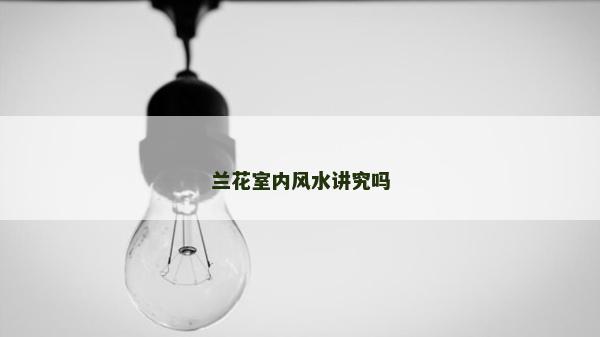 兰花室内风水讲究吗