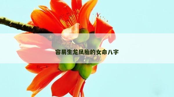 容易生龙凤胎的女命八字